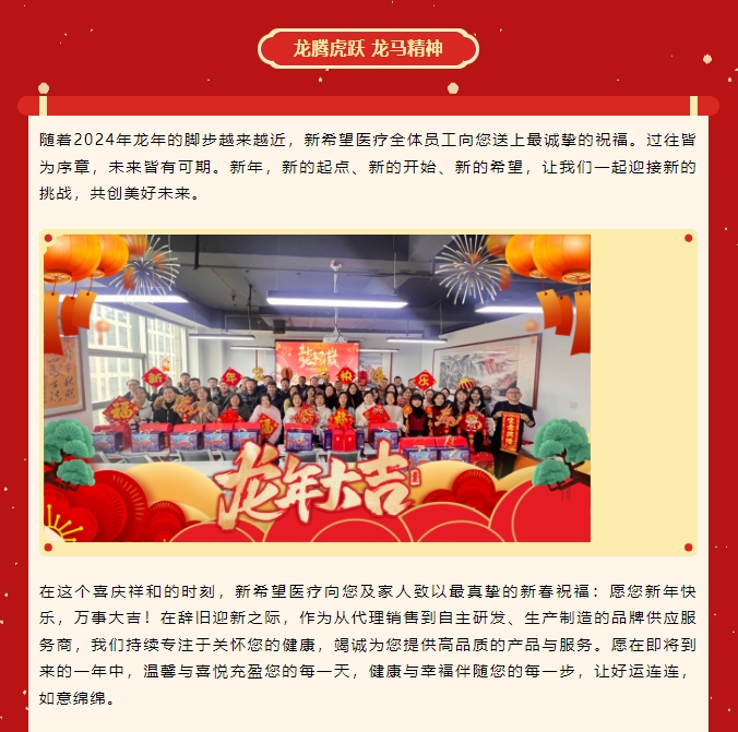 龙啸新春，共赴新程
