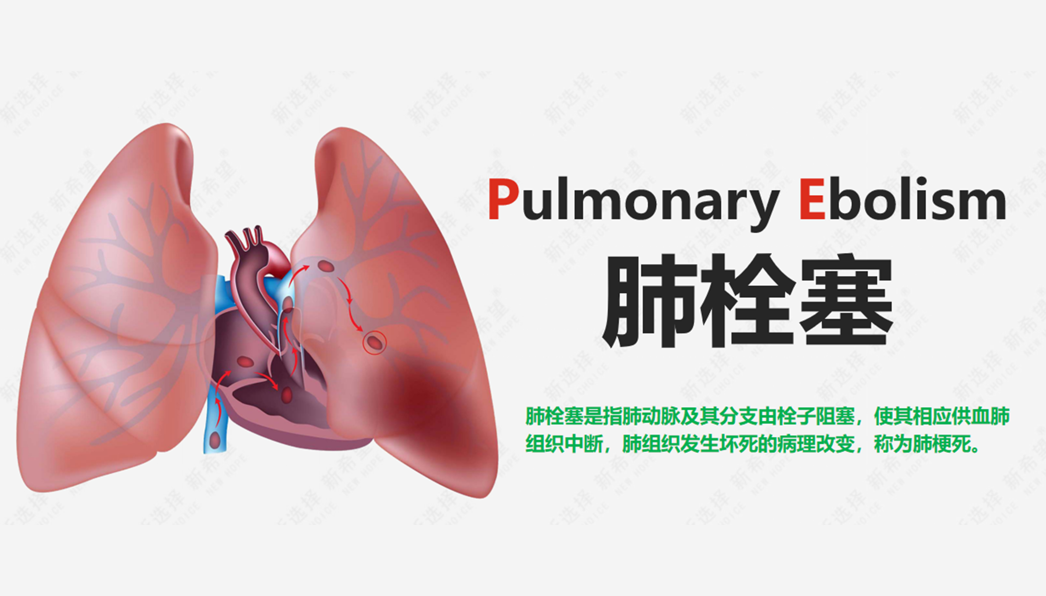 诗和远方 让健康与灵魂共享